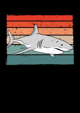 Shark retro colour