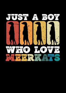 Just a boy who love meerka