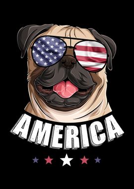 Dog 4th of July USA Pug