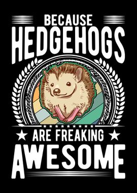 Hedgehogs Are Awesome