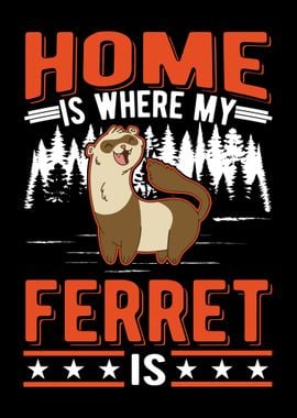 Home Is Where My Ferret