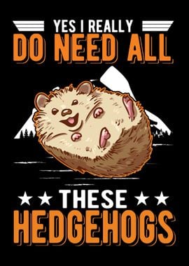 Hedgehog Keeper Gift