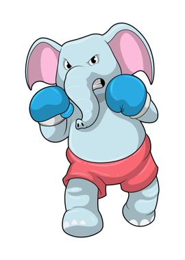 Elephant Boxer Sports