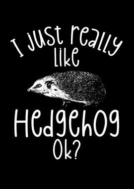 I like really hedgehog