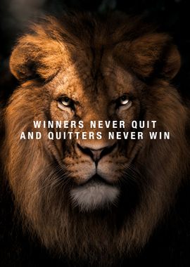 Winner Never Quit