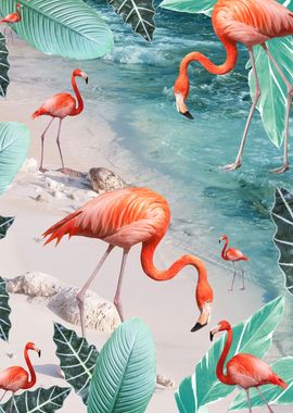 Caribbean Flamingo Dream 1