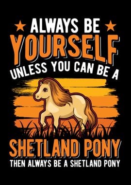 Shetland Pony Shetty