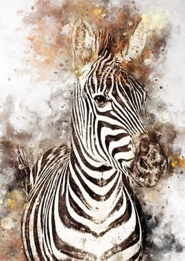 zebra new art