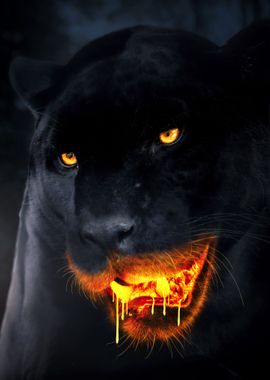 Black Panther Gold