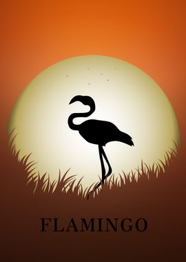 Flamingo Animal