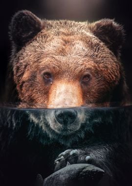 Underwater Bear