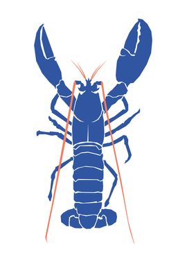 Lobster Ocean sea animals