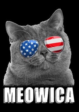 Cat 4th of July USA Americ