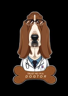 Veterinary Basset Hound