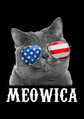 Cat 4th of July Merica USA