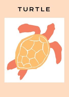 Sea ocean Turtle animal