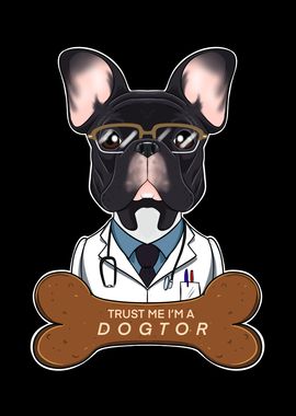 Veterinary French Bulldog