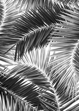 Palm Jungle Pattern 2