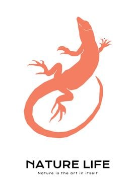 Nature life Lizard animal