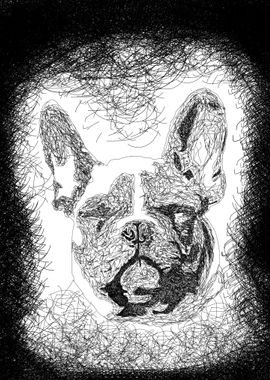 Dog Scribble Art