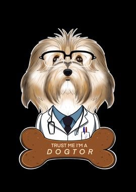 Veterinary Havanese Dogtor