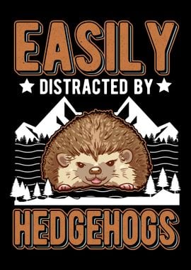 Distracted By Hedgehogs