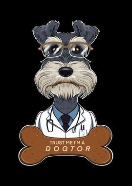 Vet Miniature Schnauzer