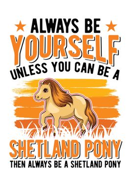 Shetland Pony Shetty