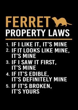 Ferret Funny