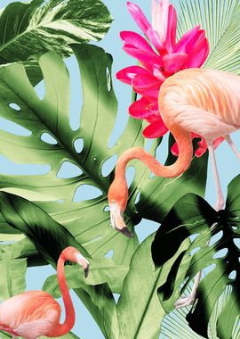 Tropical Flamingo Oasis 1