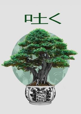 Bonsai tree nature