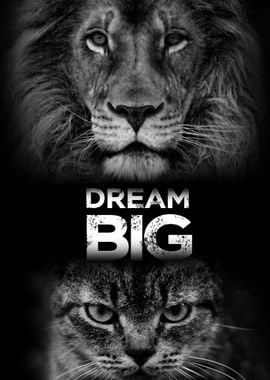 Dream Big