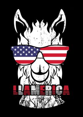 Llama USA America