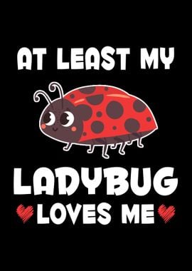 My Ladybug Loves Me