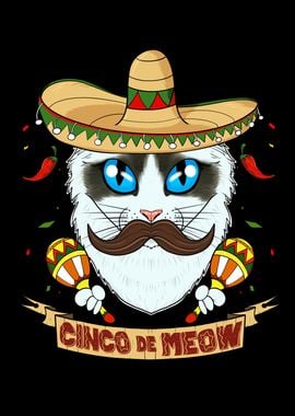 Cinco de Mayo Ragdoll Cat