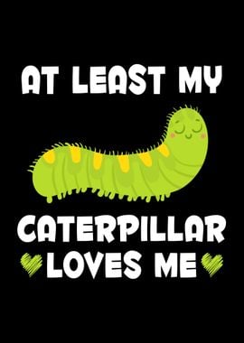 Caterpillar Insect