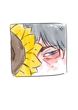 half sunflower