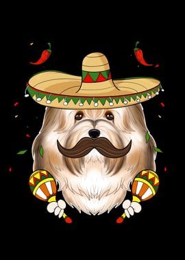 Cinco De Mayo Havanese