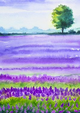 Watercolor Lavender Fields