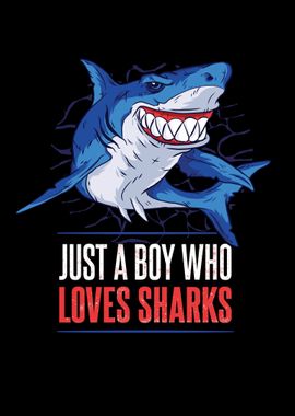 A Boy Who Loves Sharks