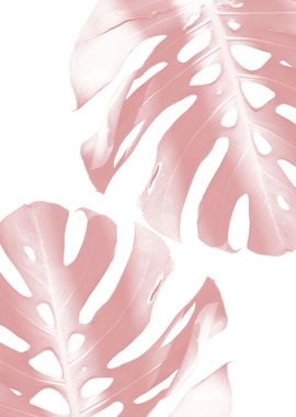 Blush Pink Monstera Leaves