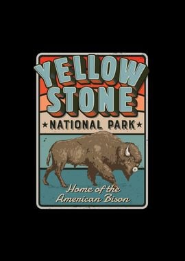 Yellowstone American Bison