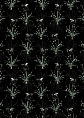 Allium Fragrans Pattern