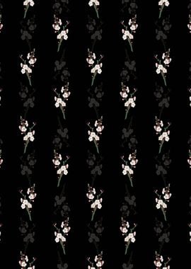 Apricot Flower Pattern