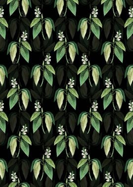 Floral Malabar Nut Pattern