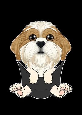 Shih Tzu Puppy In Pocket