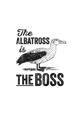 The albatross is the boss