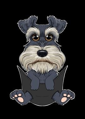 Miniature Schnauzer Puppy