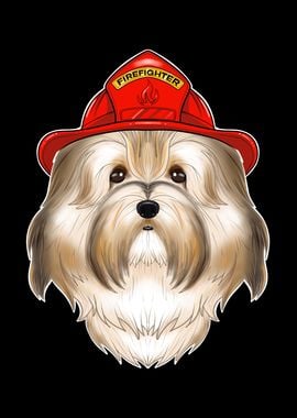 Firefighter Havanese