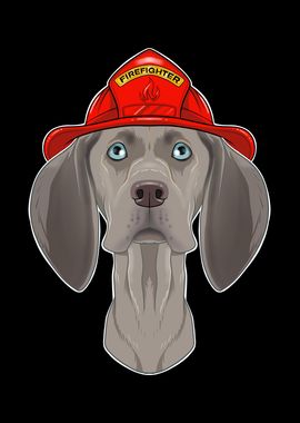 Firefighter Weimaraner